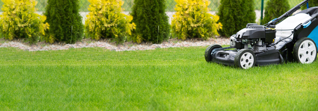 small equipment lawnmower