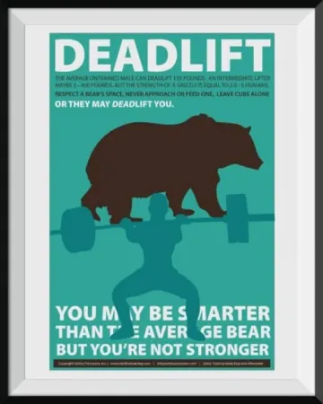 Bear-Awarenes-Dead-Lift-Safety-Poster-500x625-1.webp