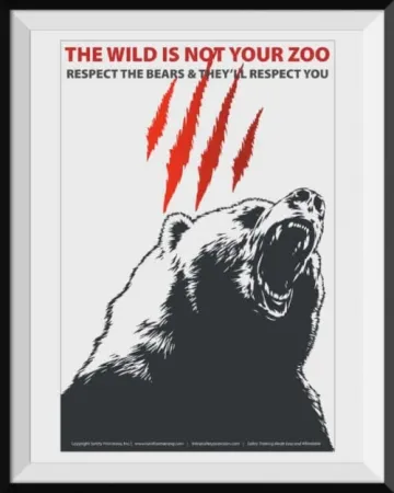 Bear-Awareness-Not-Zoo-Poster-500x625-1.webp