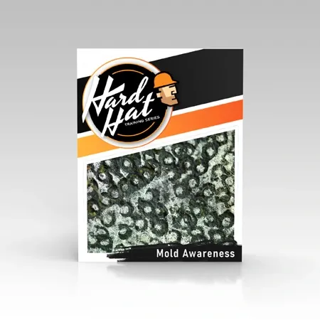 Mold-Construction-Safety-Training.webp