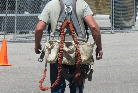 1-fall-protection-harness.webp