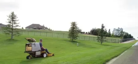 Lawn-Mower-What-You-Should-Know.webp