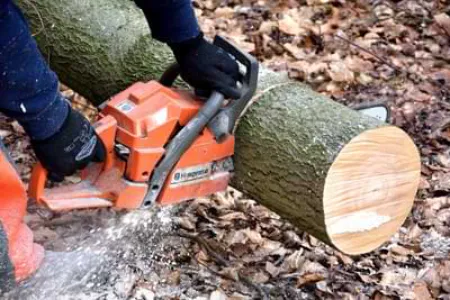 chainsaw.webp
