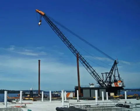 crane-water.webp