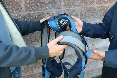 fall-protection-arrest.webp
