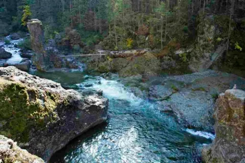 nature.webp