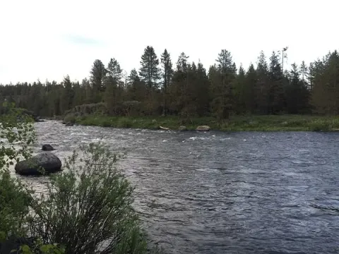 river.webp